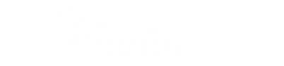 logo tls solucoes em ti e design