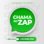 WhatsApp como canal de atendimento e vendas